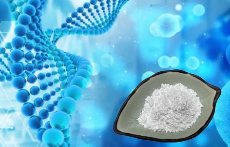 Serrapeptase powder bulk Serrapeptase powder bulk