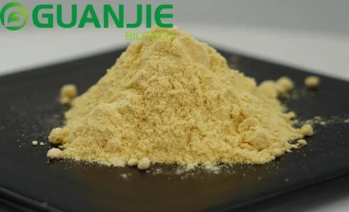 lecithin bulk powder lecithin bulk powder