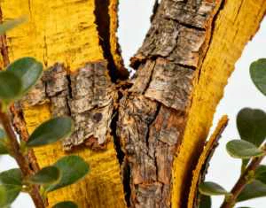 bulk BERBERINE bulk BERBERINE