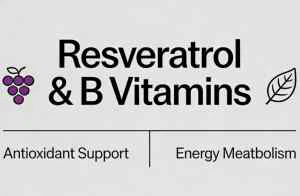 RESVERATROL AND B VITAMINS RESVERATROL AND B VITAMINS