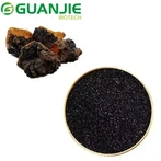Inonotus Obliquus Extract Powder